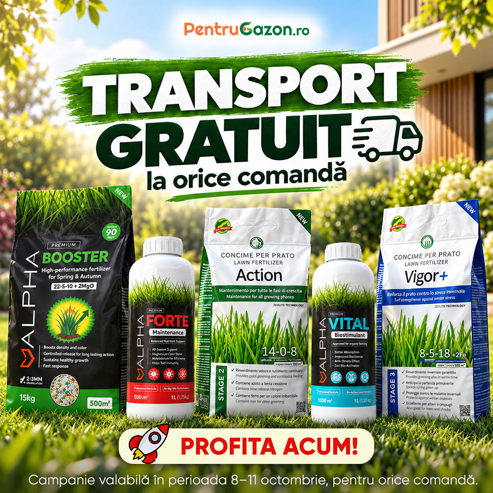 Transport gratuit la orice comandă