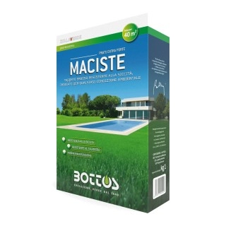 Seminte Gazon soare/seceta Maciste 1kg 