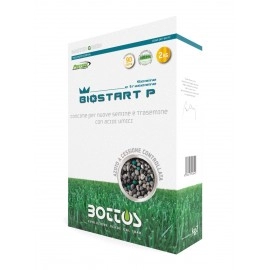 Ingrasamant Gazon BioStart P 2kg