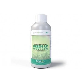 Ingrasamant foliar GREEN UP