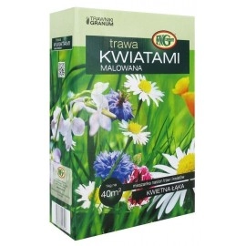 Seminte de gazon cu flori / gazon japonez ornamental - 1kg