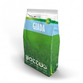 Seminte gazon pentru umbra Giada 5kg