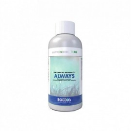 Ingrasamant foliar ALWAYS 