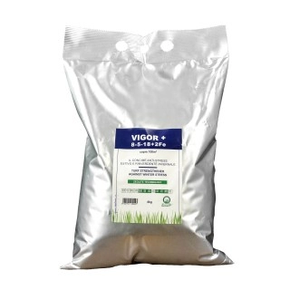 Ingrasamant Gazon Vara/Iarna Vigor+ Zeotech 4kg
