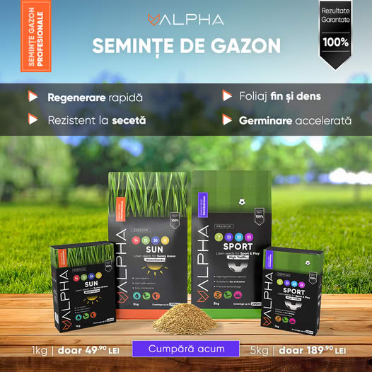 Seminte de gazon pentru suprainsamantare