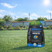 Ingrasamant Gazon Vara/Iarna Alpha Energy+ 3kg