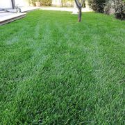 Ingrasamant Lichid HELP 1kg
