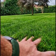 Ingrasamant foliar ALWAYS 1kg