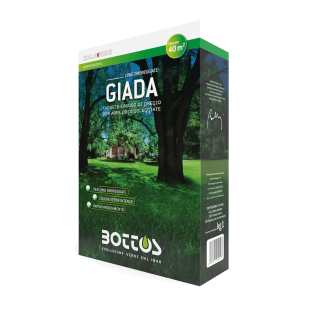 Seminte gazon pentru umbra Giada 1kg