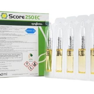 Score - Fungicid sistemic 2ml