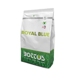 Seminte Gazon Royal Blue 5Kg