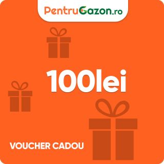 Voucher cadou 100 lei