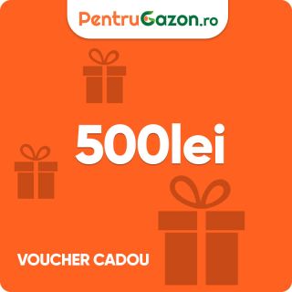 Voucher cadou 500 lei