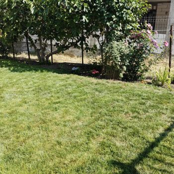 Distribuitor pe baterie, ALPHA LAWN, 4xAA, pentru seminte si ingrasaminte