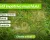 Ingrasamant Gazon Dark Green ANTI MUSCHI