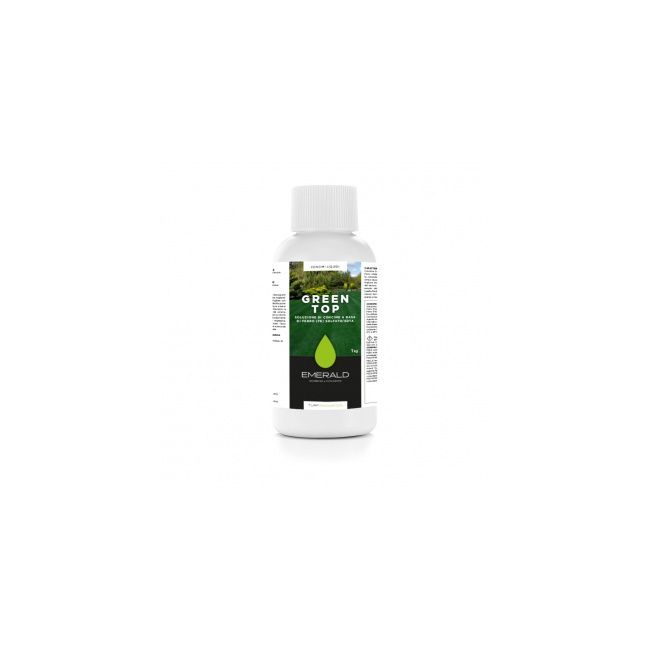 Ingrasamant foliar GREEN TOP - extra fier pt înverzire 1kg