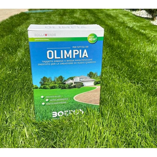 Seminte Gazon soare sau umbra Olimpia 1Kg