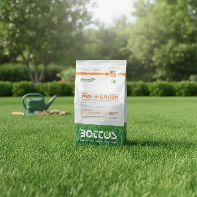Ingrasamant Gazon ALL SEASON Poly Green 5 kg