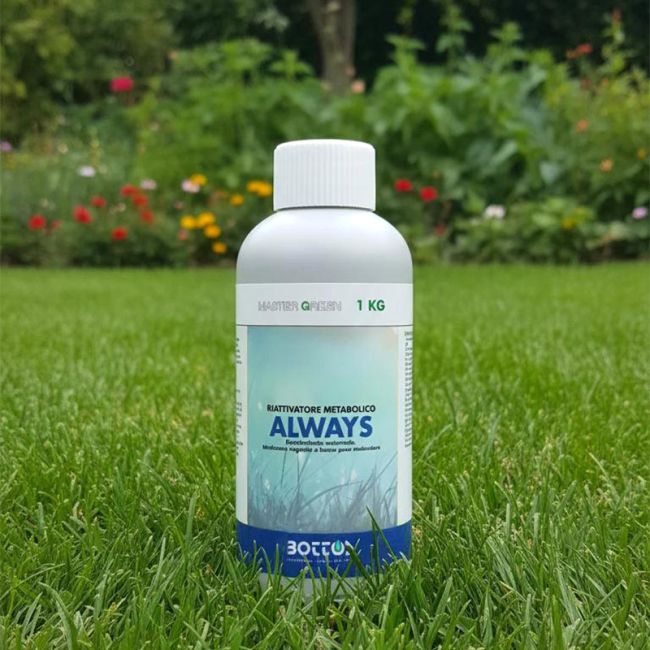 Ingrasamant foliar ALWAYS 1kg
