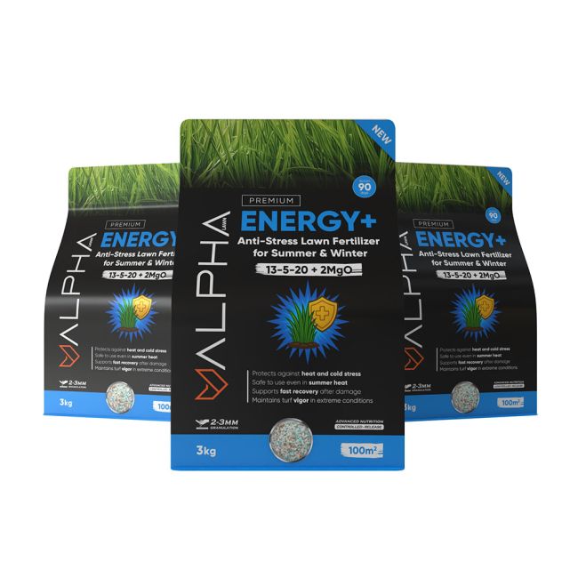 Ingrasamant Gazon Vara/Iarna Alpha Energy+ 3kg