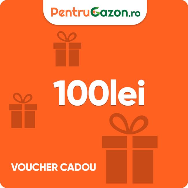 Voucher cadou 100 lei