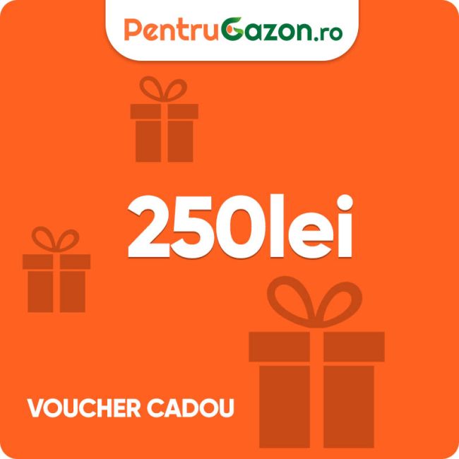 Voucher cadou 250 lei