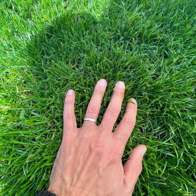 Ingrasamant foliar ALWAYS 1kg