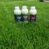 Ingrasamant foliar Alpha VITAL 1L
