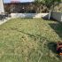 Scarificator si aerator pentru gazon, ALPHA LAWN, electric 2000W, latime 40cm, cos 55L