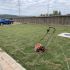 Scarificator si aerator pentru gazon, ALPHA LAWN, electric 2000W, latime 40cm, cos 55L