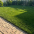 Ingrasamant foliar Alpha FORTE 1L